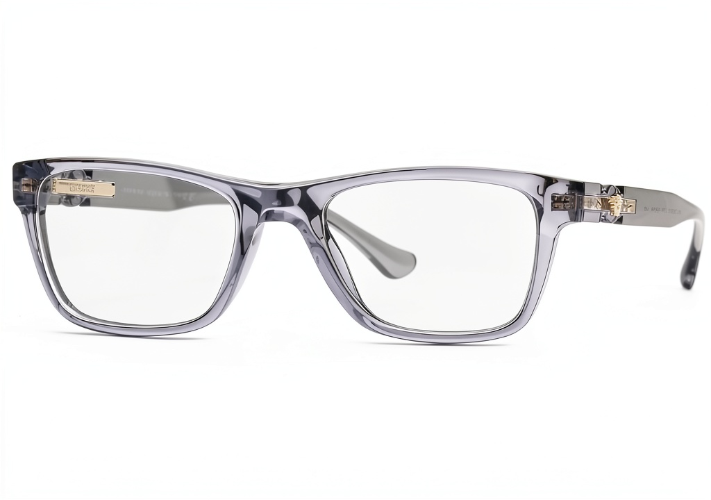 Versace transparent grey acetate eyewear frames being worn outdoors showing real-world fit and style