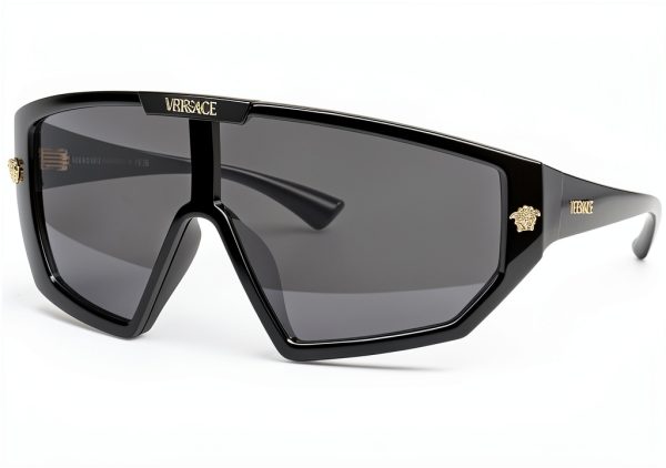 Versace Women's Sunglasses VE4461-0