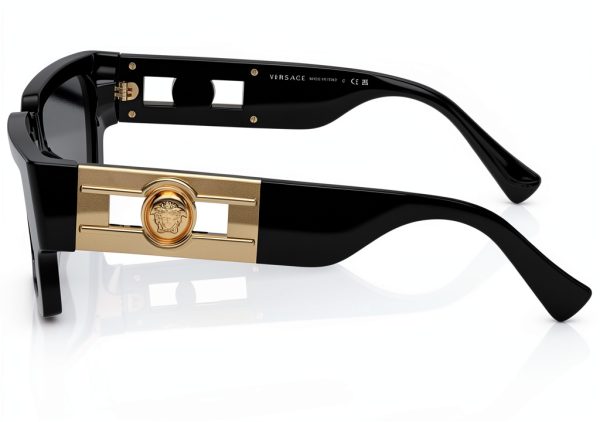 Havana Unisex Full Rim Rectangle Sunglasses Small Size Black-3