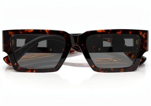 Havana Small Unisex Full Rim Rectangle Sunglasses Classic Design-2